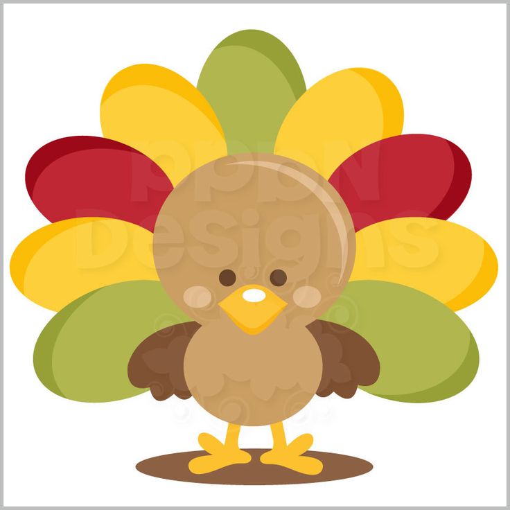 736x736 Turkey Clipart Cute