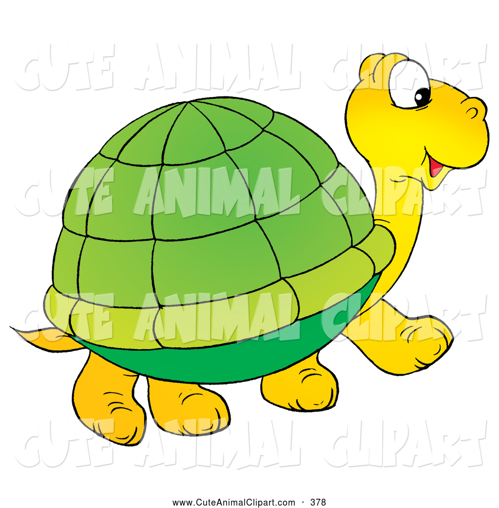 1024x1044 Royalty Free Stock Animal Designs Of Turtles