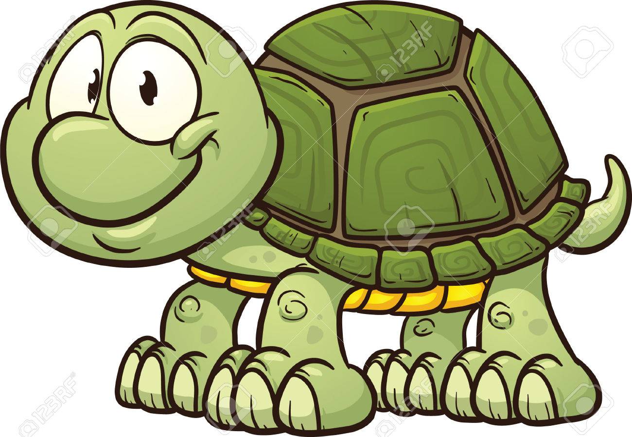 1300x899 Turtle Pictures Clip Art
