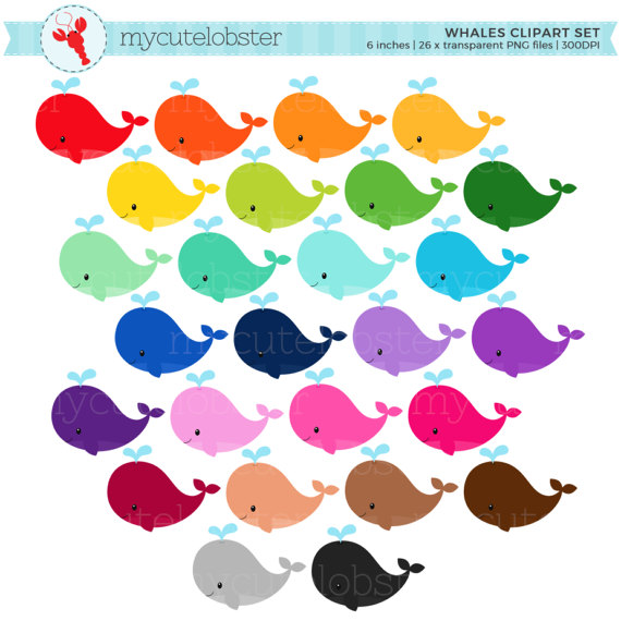 570x570 Rainbow Whales Clipart Set
