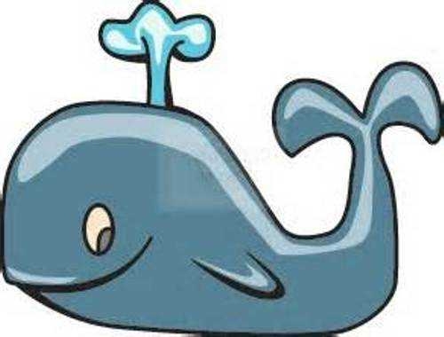 500x380 Cute Whale Clip Art Clipart Panda