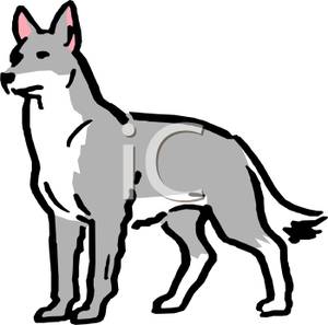 300x297 Top 78 Wolf Clipart