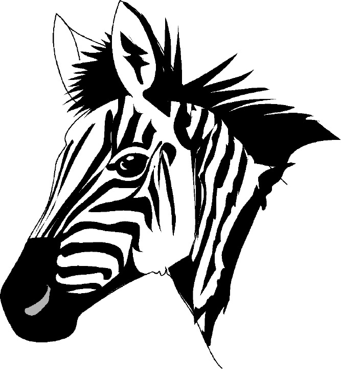 667x720 Zebra Clipart