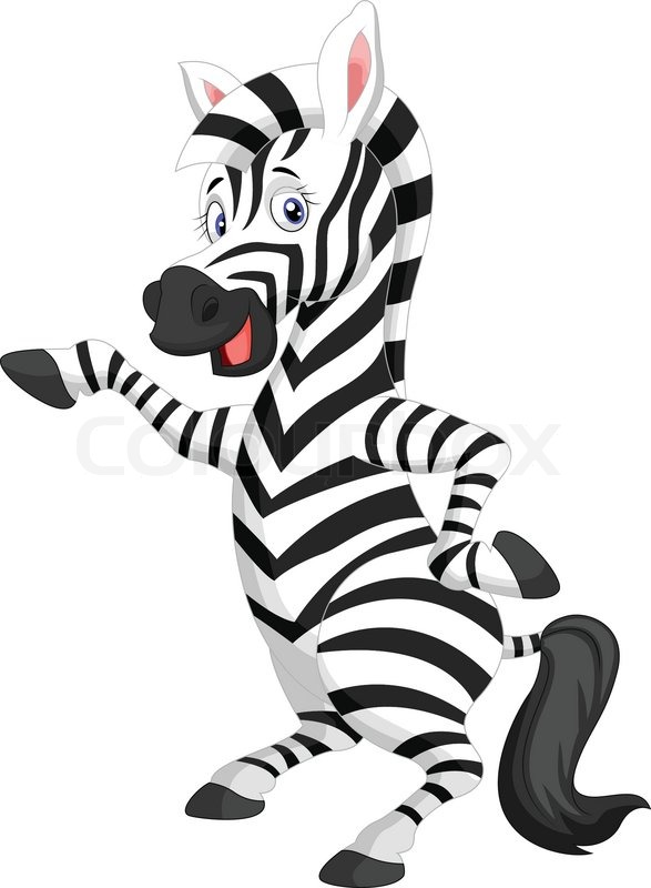 587x800 Zebra Clipart Dancing