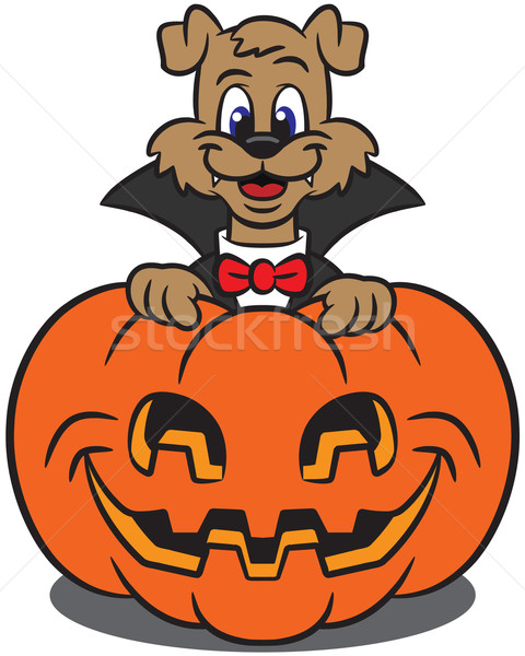 480x600 Cute Dog In A Vampire Costume With Pumpkin Vector Illustration