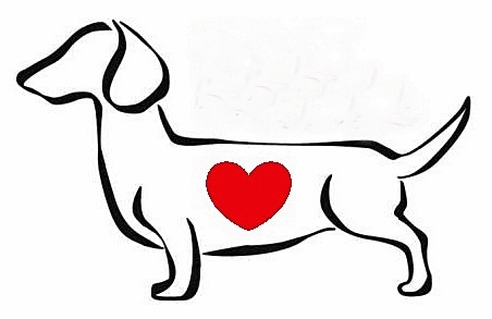 452x293 Dachshund Clipart Outline