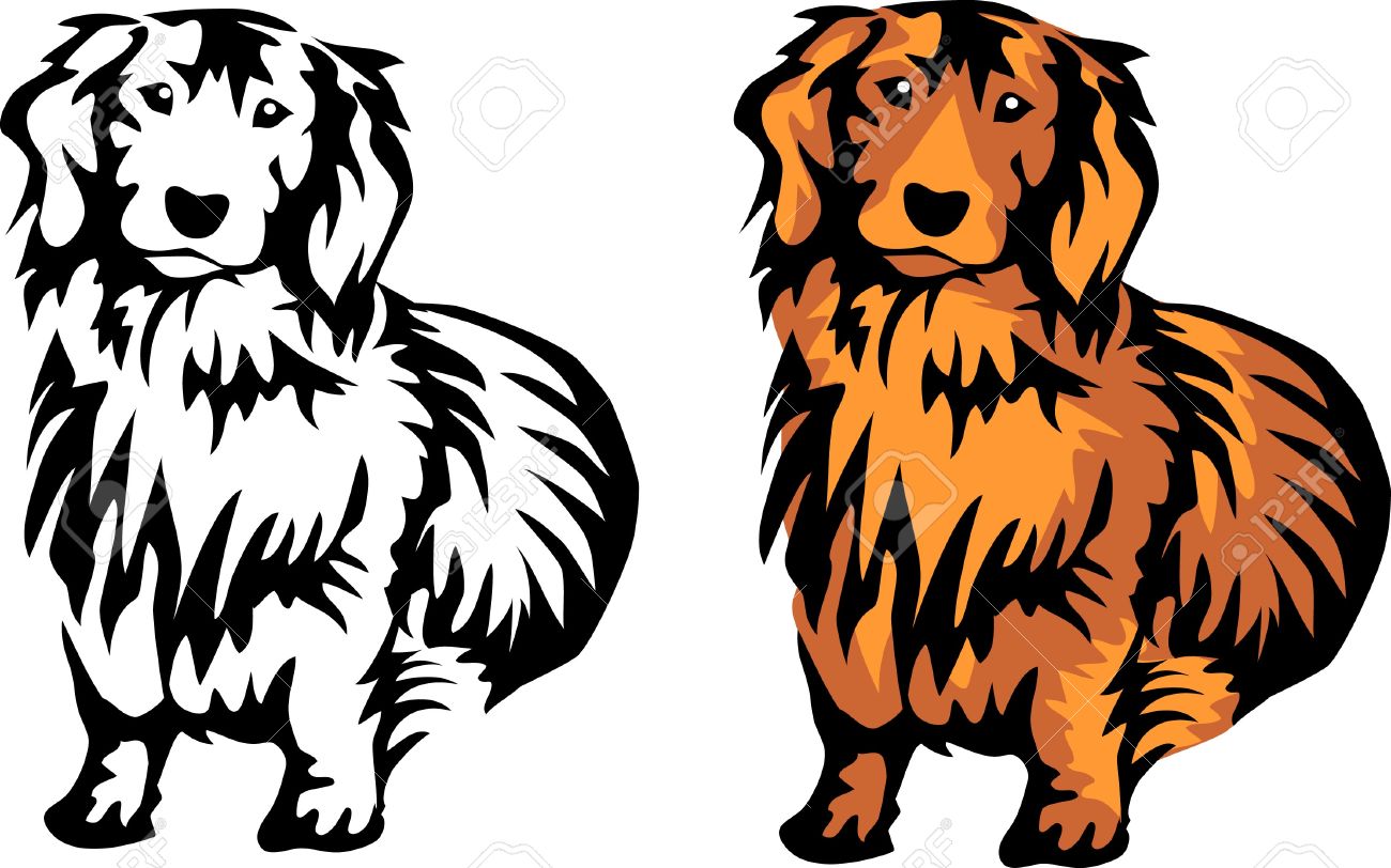 1300x812 Long Clipart Dachshund