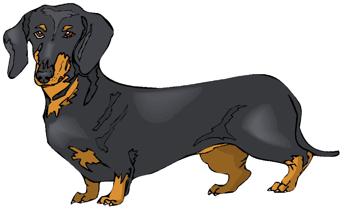 Dachshund Dog Clipart | Free download on ClipArtMag