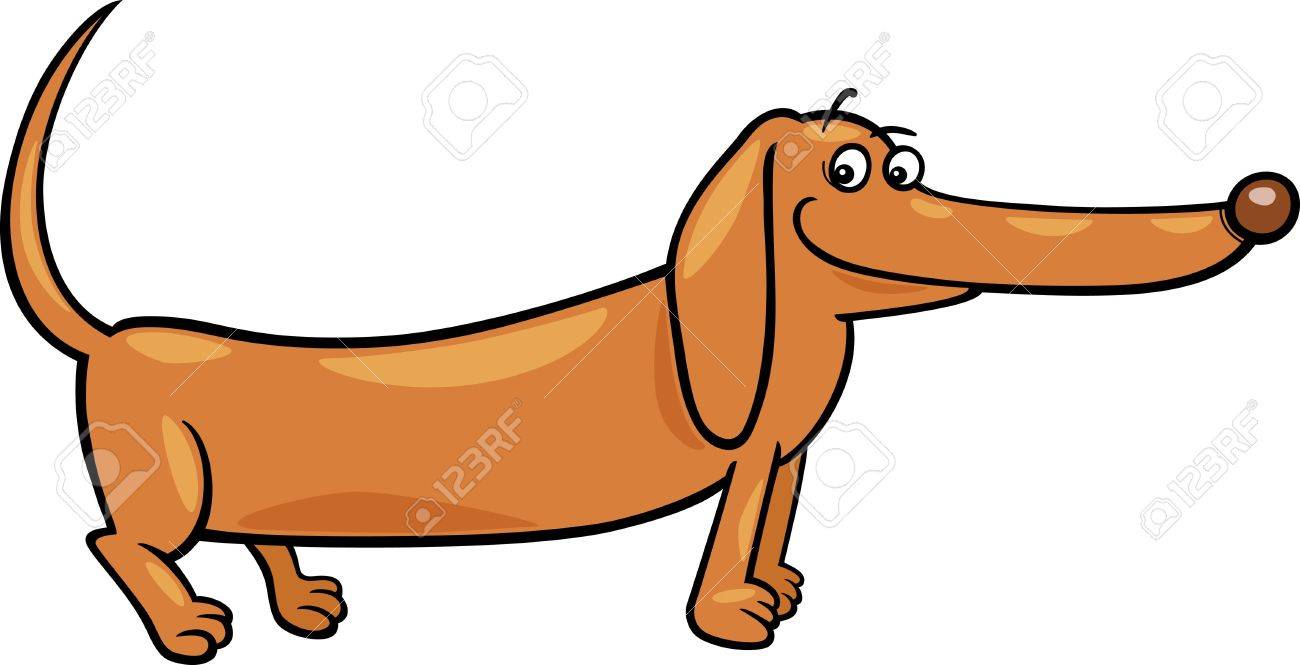 1300x665 Cartoon Illustration Of Cute Purebred Dachshund Dog Royalty Free