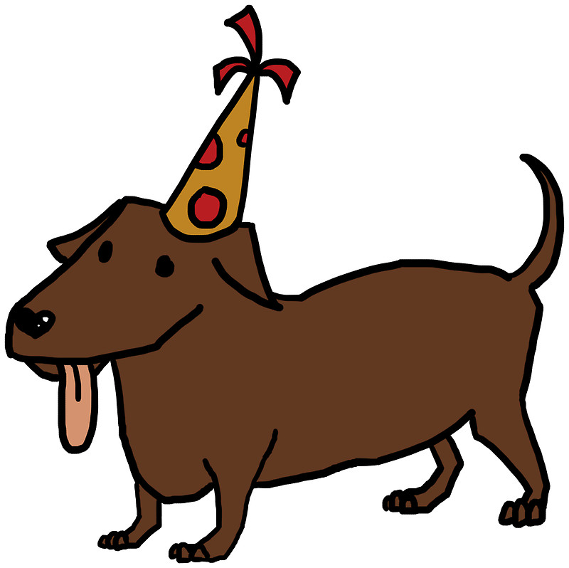 800x798 Dogs With Party Hats