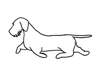 340x270 Dachshund Clipart Wire Haired