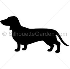 Dachshund Outline Clipart 