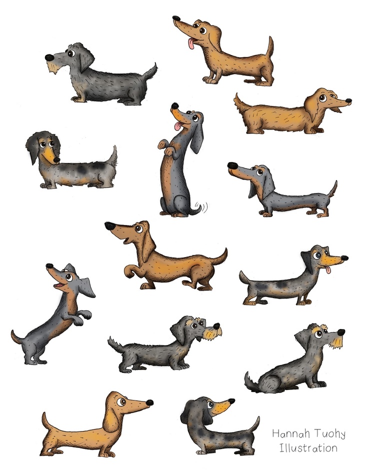 736x952 221 Best Doxies Images My Passion, Beautiful