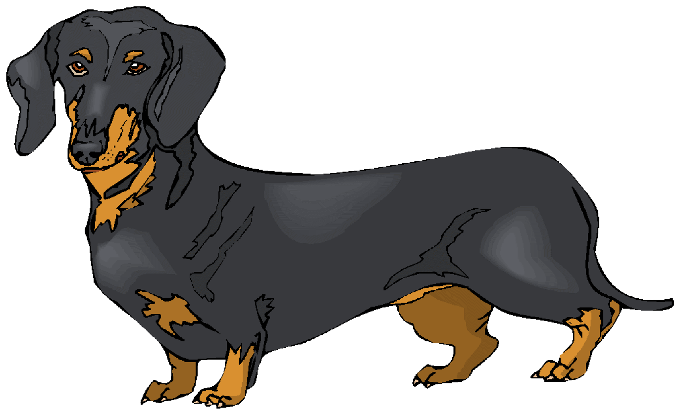 1383x837 Black Clipart Dachshund