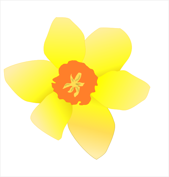 570x597 Daffodil (Stripped) Clip Art