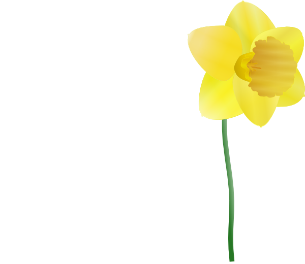 600x520 Daffodil Clip Art