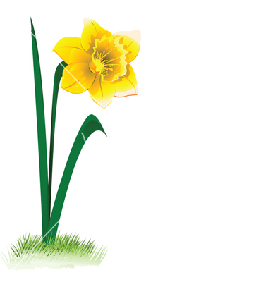 380x400 Daffodil Clipart Animated