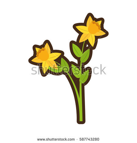 450x470 Daffodil Clipart Lily Pad Flower