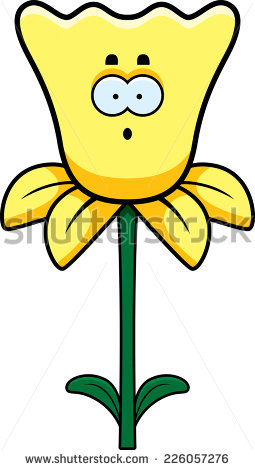 255x470 Drawn Daffodil Cartoon
