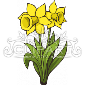 300x300 Cartoon Daffodils Collection