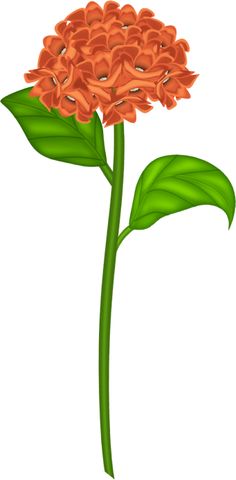 236x480 Daffodil Transparent Png Clip Art Image Flowers