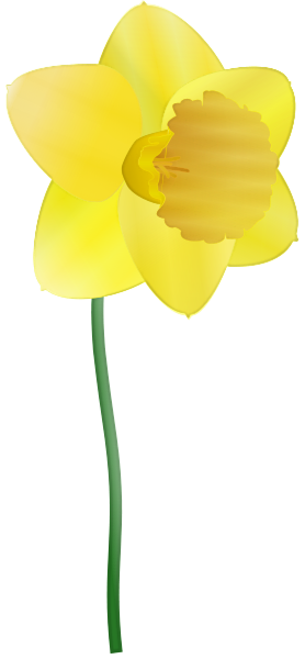 278x600 Free Daffodil Clipart