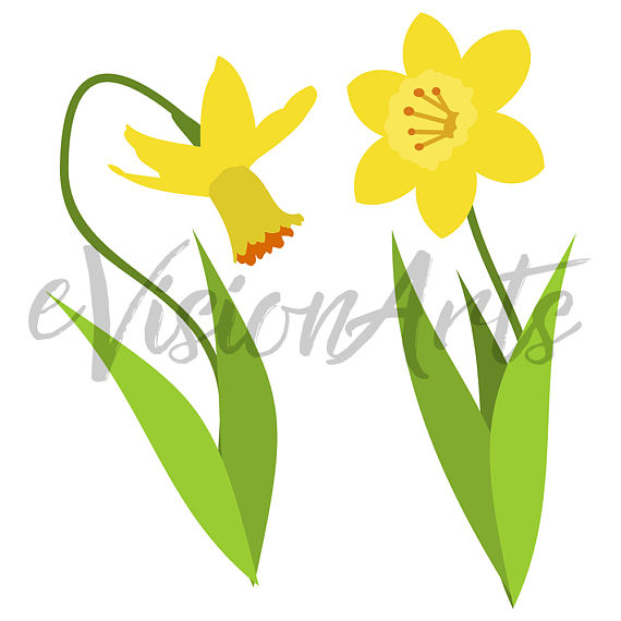 570x570 Garden Clipart Snail Clipart Daffodil Clipart Picket Fence