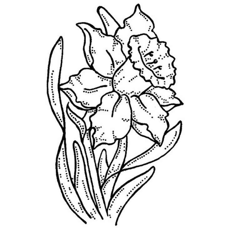 Daffodil Clipart Black And White