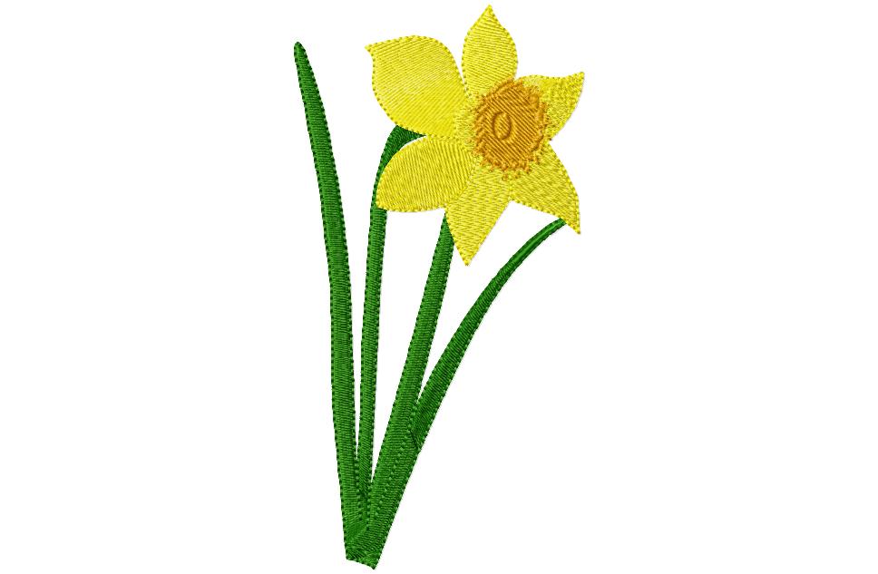 968x633 Daffodil Clipart