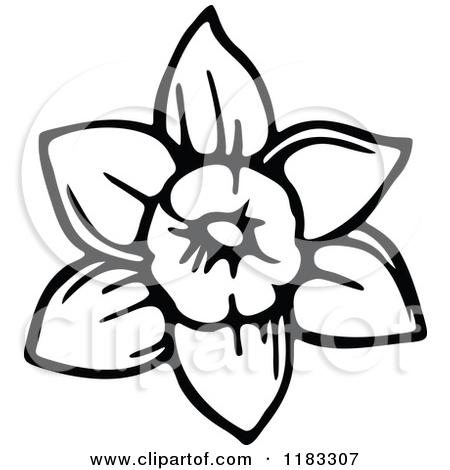 450x470 White Daffodils Clipart