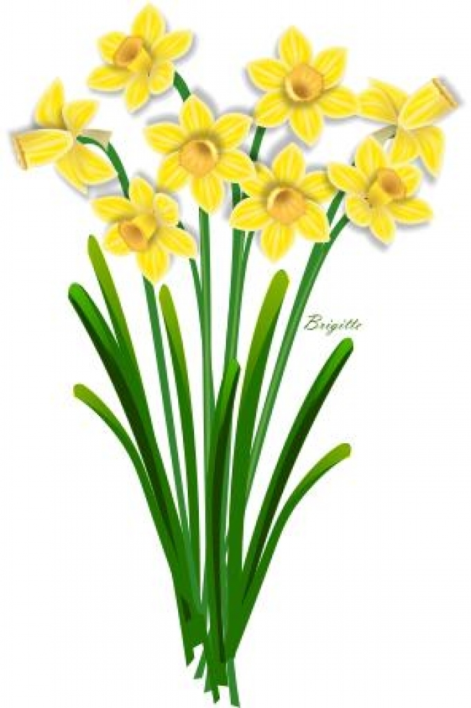 Daffodil Clipart Black And White Free download on ClipArtMag