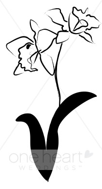 211x388 Black And White Daffodil Clipart Wedding Orchid Clipart