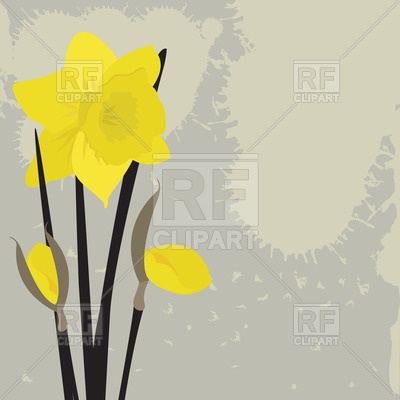 400x400 Daffodils On Grunge Background Royalty Free Vector Clip Art Image
