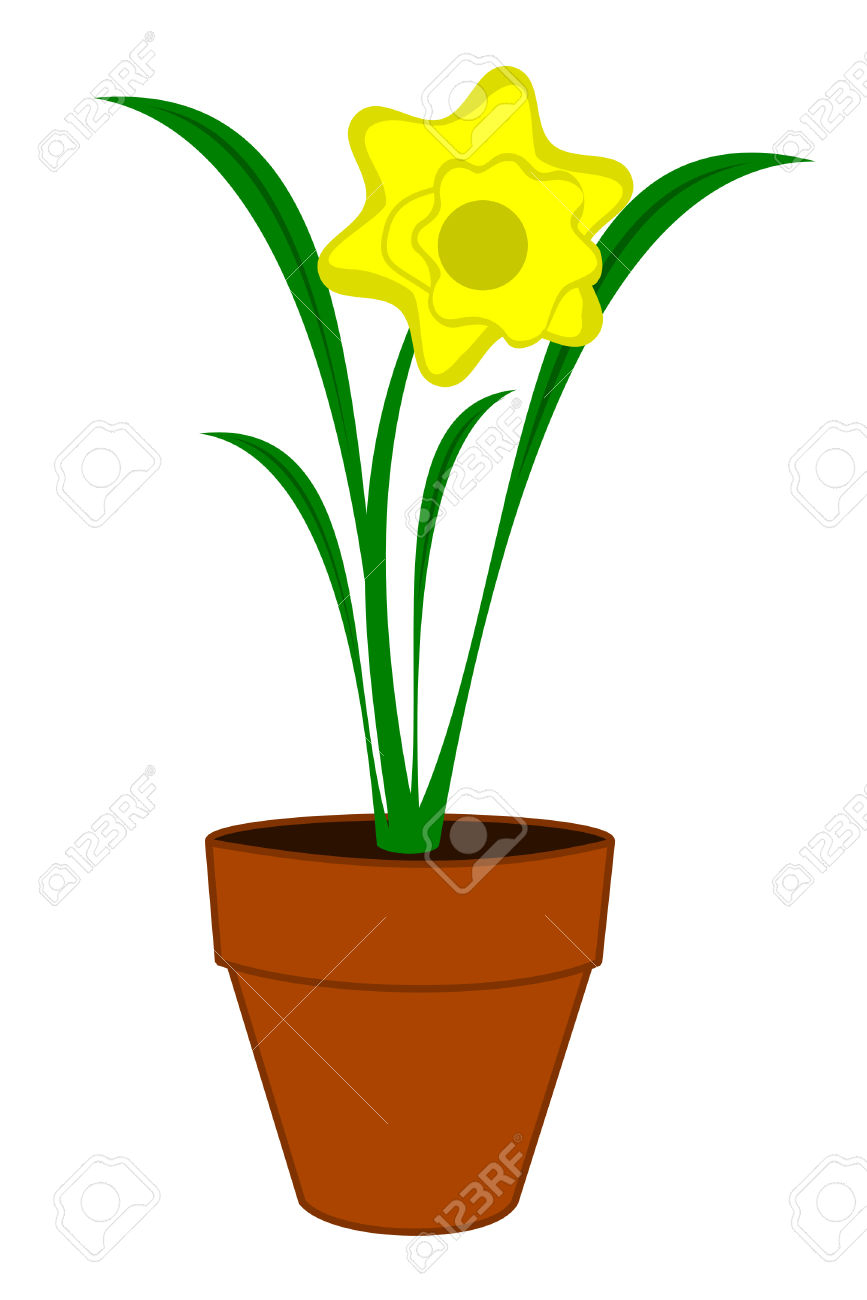 867x1300 Green Daffodil Clipart