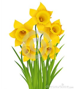 Daffodil Image Clipart | Free download on ClipArtMag