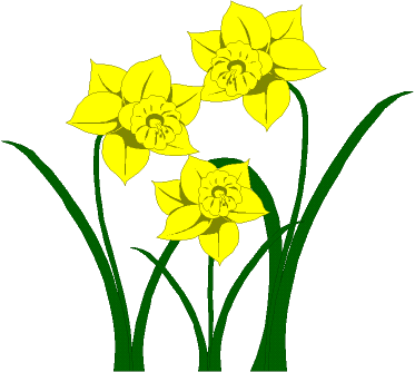 373x334 Wow Daffodil Clip Art