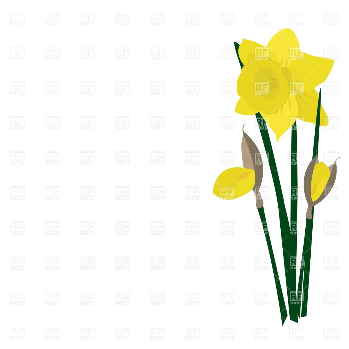 1200x1200 Yellow Realistic Isolated Daffodils Royalty Free Vector Clip Art