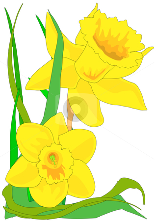 318x450 Daffodil Flower Clip Art Clipart Panda