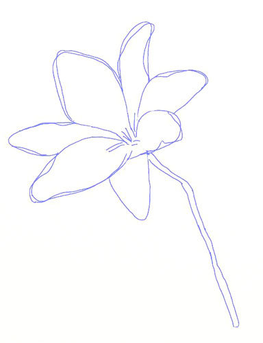 384x500 Drawing Of A Flower How To Draw Daffodils With Daffodil Drawing
