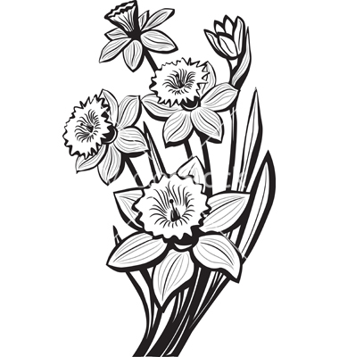 380x400 Drawn Daffodil Pretty Simple Flower