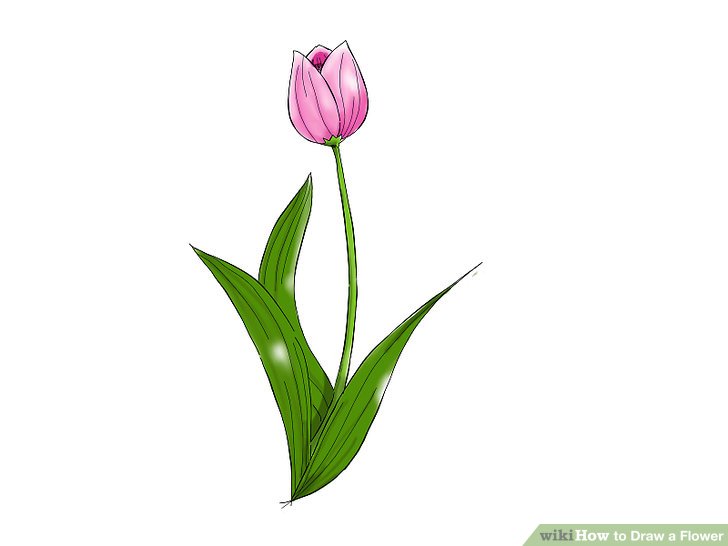 728x546 9 Easy Ways To Draw A Flower