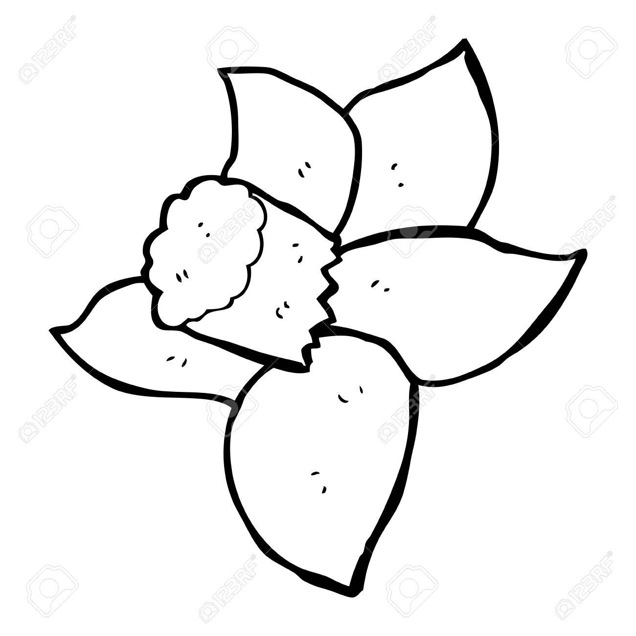 1300x1300 Daffodil Cartoon Group