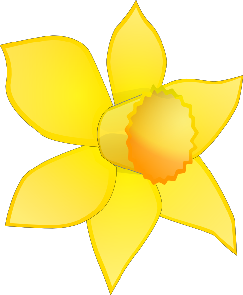 492x597 Daffodil Clipart