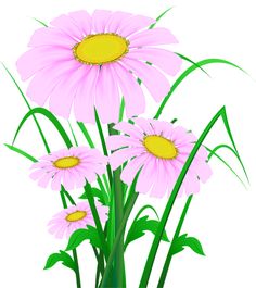 236x265 Daisy Clipart Flower Plant