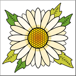 304x302 Clip Art Daisy Color 2 I Abcteach