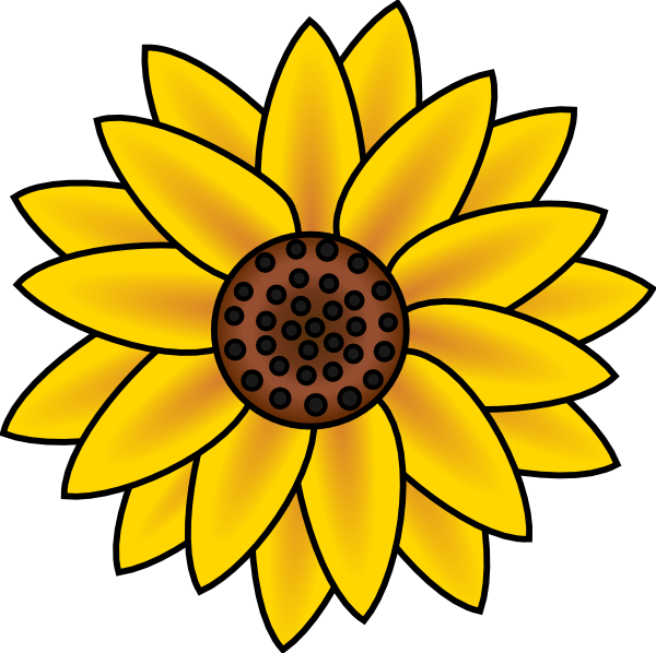 600x598 Sunflower Daisy Clipart, Explore Pictures