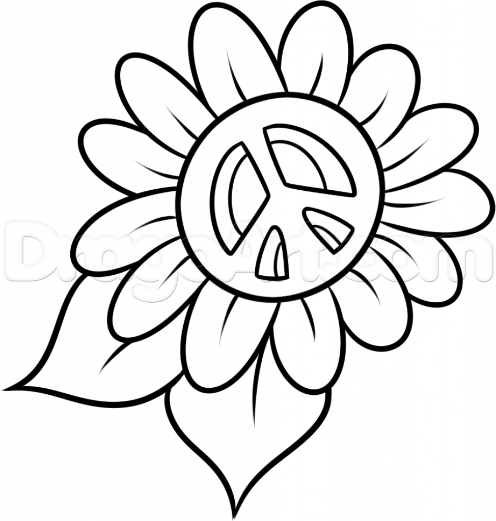 974x1024 Flower Head Drawing White Daisy Flower