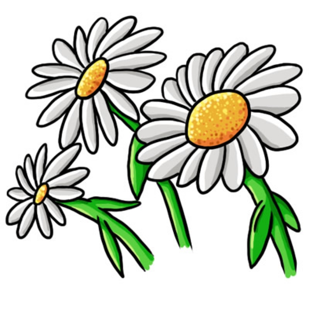 1024x1024 Printable Daisy Clipart