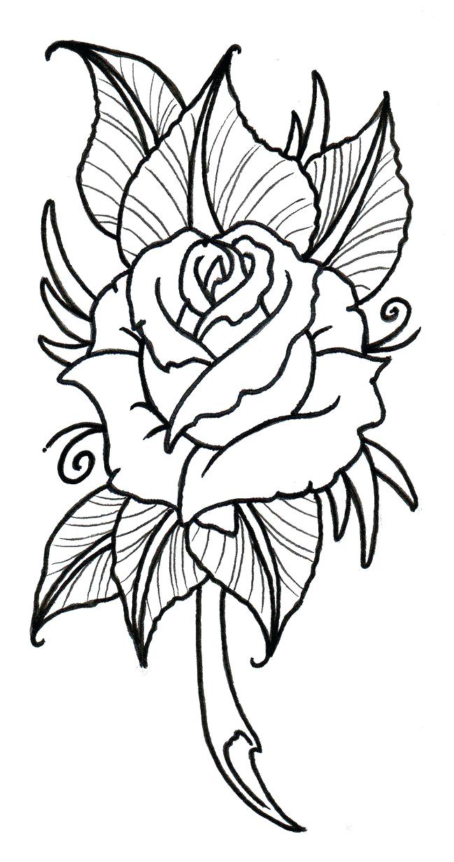 649x1232 Traditional Rose Outline By On Clip Art Flower Vector Tattoo