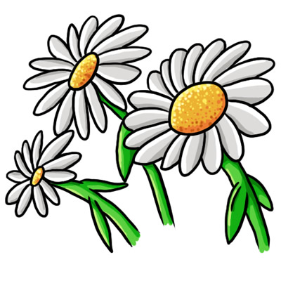 400x400 Daisy Flower Clip Art Free Vector For Download About Clipartix